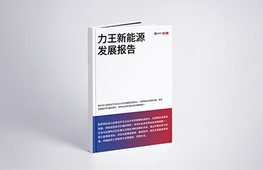 Mid year Report 2024
